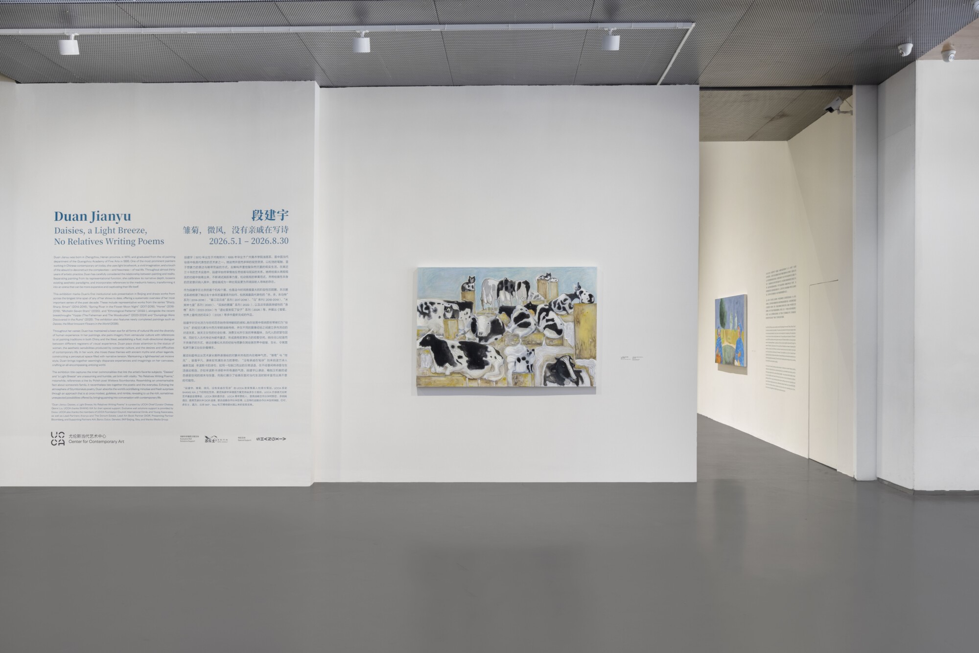 Duan Jianyu at UCCA Beijing